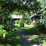 resort-sabang-blueribbon-dive-resort (4)